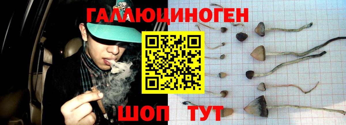 Озёрск  Галлюциногенные грибы Cubensis  Вход с VPN  Псилоцибиновые грибы GOLDEN TEACHER 